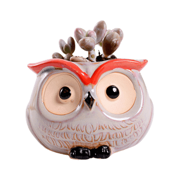 Owl Pots
