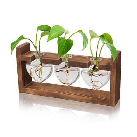 Heart Shaped Plant Organizer