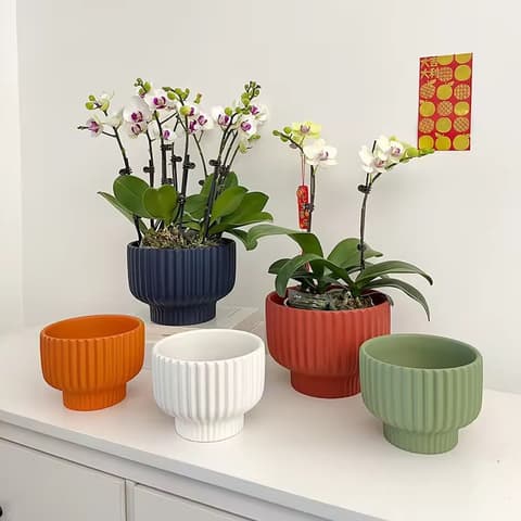 Short Based Pots