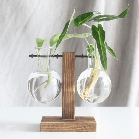 2 Pot Plant Organizer