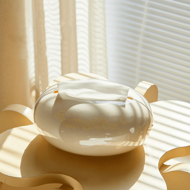 Glossy Tissue box